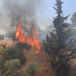 Havaya ateş açan şahıslar yangına sebep oldu 5 Havaya ateş açan şahıslar yangına sebep oldu