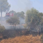 Havaya ateş açan şahıslar yangına sebep oldu 6 Havaya ateş açan şahıslar yangına sebep oldu