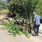 Hisarcık muhtarından Başkan Tetik’e teşekkür