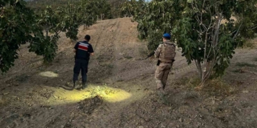 İncirliova'da jandarma incir hırsızlarına geçit vermiyor 43 Jandarma incir hırsızlarına geçit vermiyor