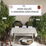 Aydın'da jandarmadan uyuşturucu operasyonu: 12 şüpheli yakalandı 1 Jandarmadan uyuşturucu operasyonu: 12 şüpheli yakalandı