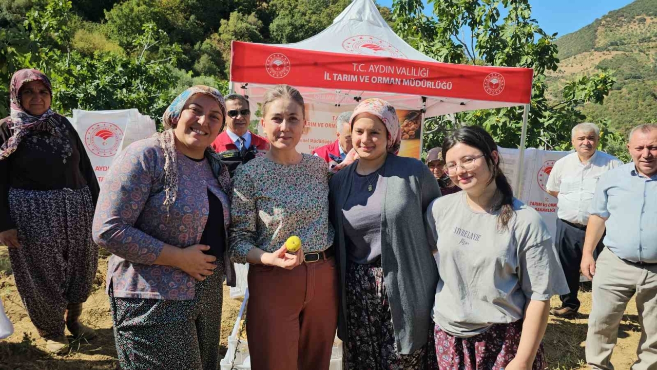 Nazilli Kaymakamı Kan’dan incir hasadına katıldı