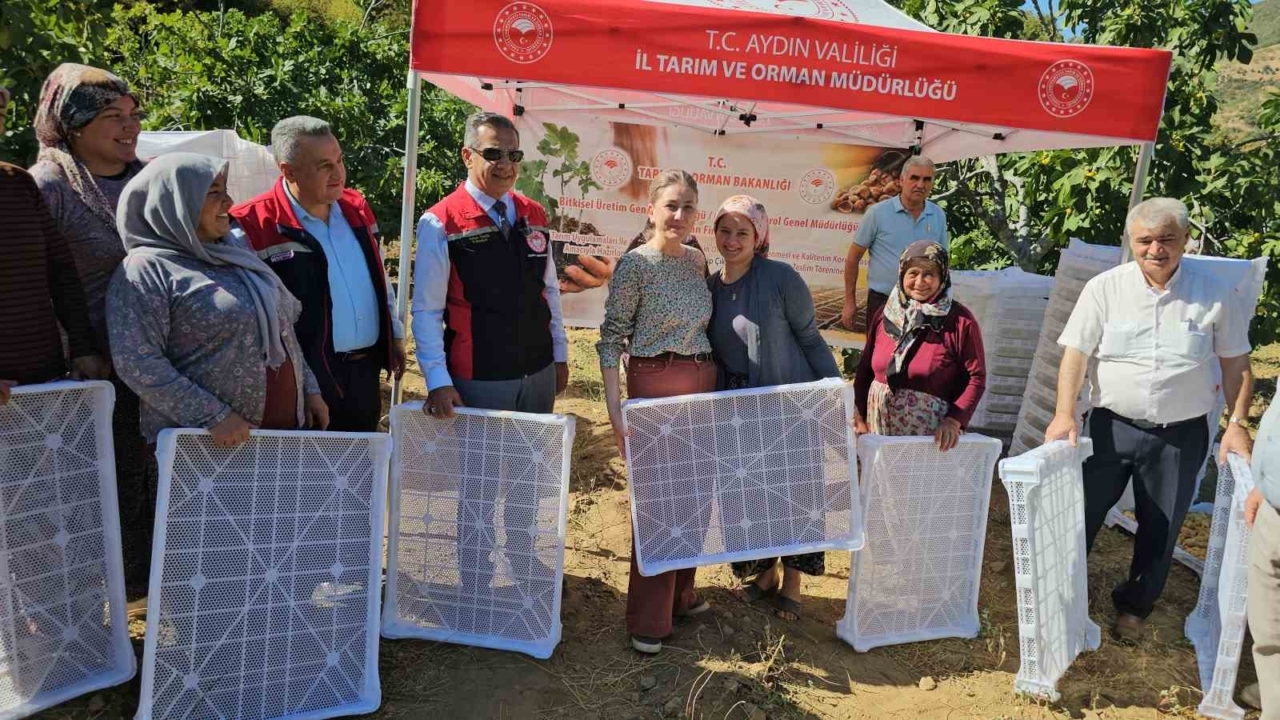 Nazilli Kaymakamı Kan’dan incir hasadına katıldı