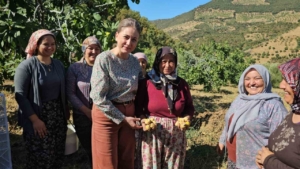 Nazilli Kaymakamı Kan’dan incir hasadına katıldı