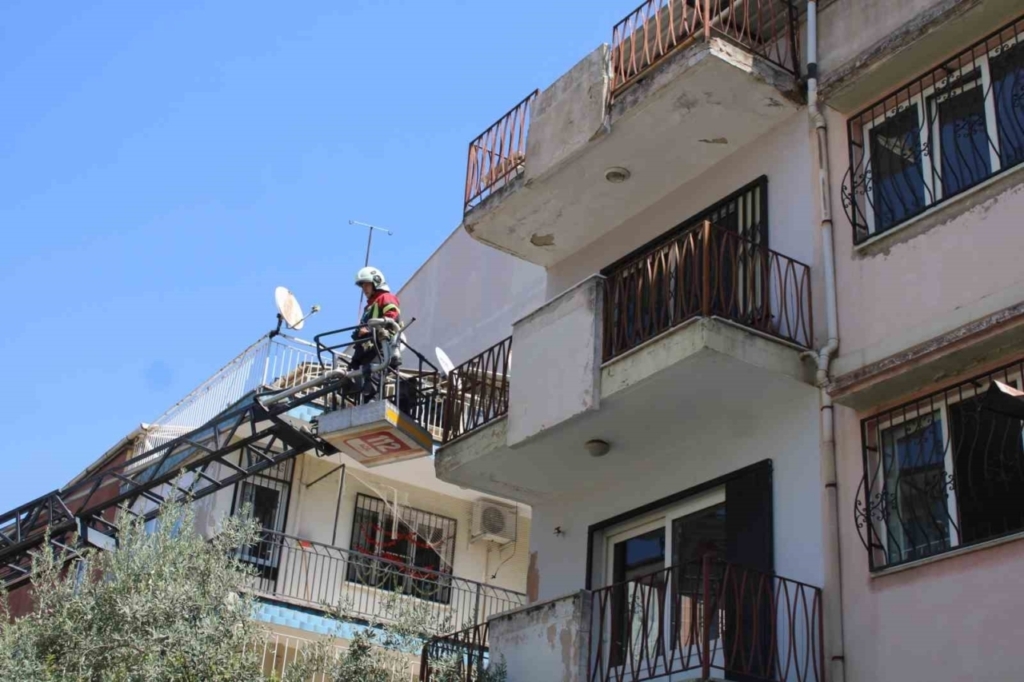 sevimli kediyi kurtarmak icin tum ekipler seferber oldu o kurtarilacagi anda atlayip gitti 433167d6d360