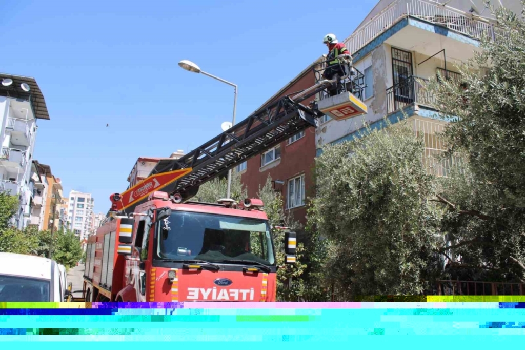 sevimli kediyi kurtarmak icin tum ekipler seferber oldu o kurtarilacagi anda atlayip gitti dda2de3f407d