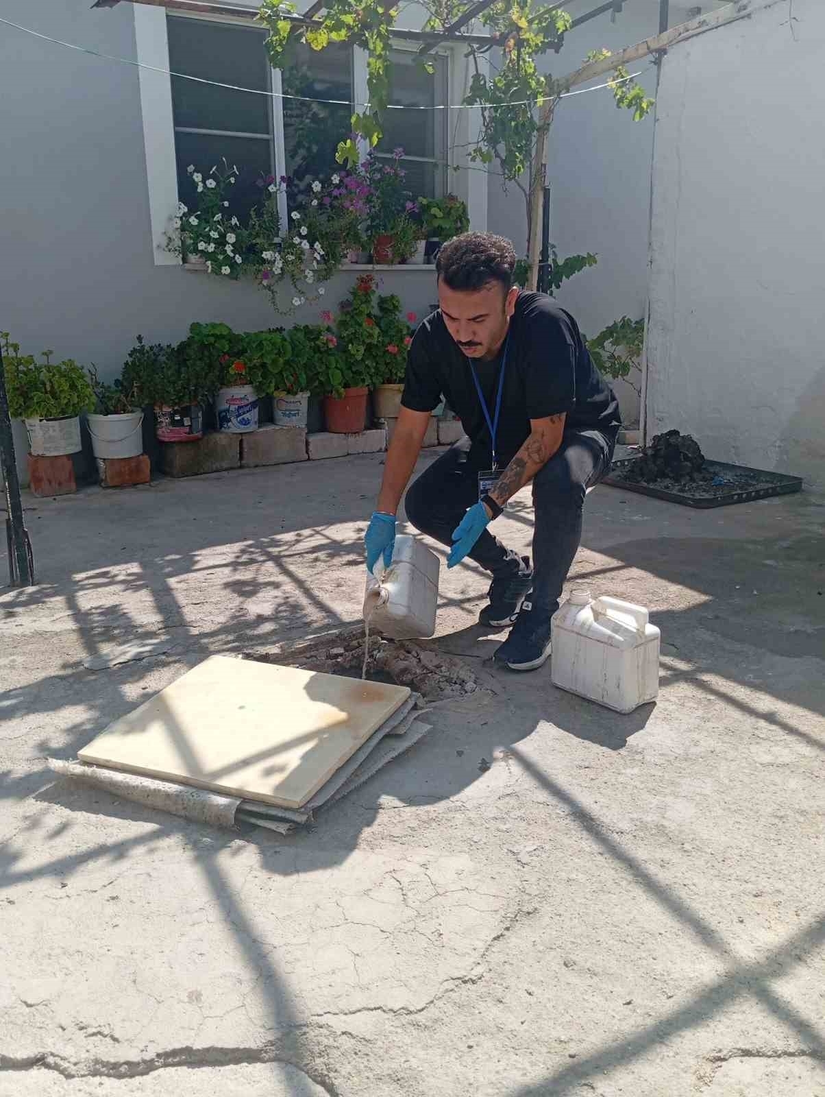 Söke Belediyesi’nden haşerelere karşı "Nokta Atışı" mücadele