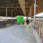 Söke’de hastalıktan ari işletmeler denetlendi