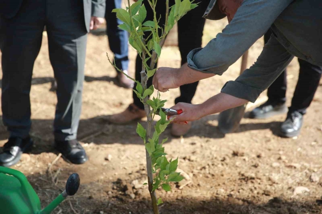 ADÜ’de ’Yeşil Kampüs’ çalışmaları devam ediyor 8 adude yesil kampus calismalari devam ediyor cb64370d66af