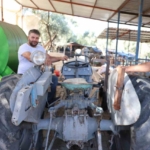 Aydın'da ata yadigarı traktör 77 yıldır çalışıyor 2 Ata yadigarı traktör 77 yıldır çalışıyor