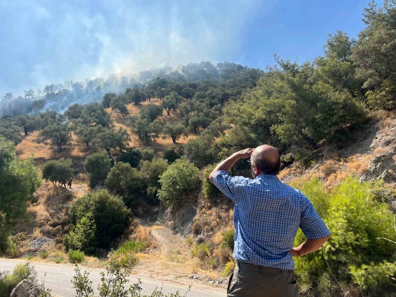 Aydın’da zirai alan yangını: 30 dönüm alan zarar gördü