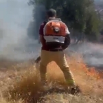 Aydın’daki zirai alan yangınına havadan ve karadan müdahale sürüyor 5 Aydın’daki zirai alan yangınına havadan ve karadan müdahale sürüyor