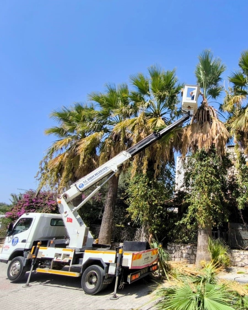 baskan gencay didim icin durmadan calisiyoruz 9df01465cf25