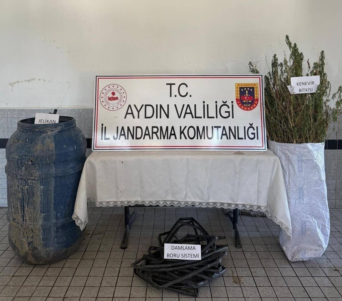 Aydın Buharkent’te 40 kök kenevir ele geçirildi