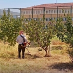 Çine’de okul bahçeleri yeni döneme hazır 1 Çine’de okul bahçeleri yeni döneme hazır