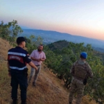 Köşk’te jandarmadan incir nöbeti 3 Köşk’te jandarmadan incir nöbeti