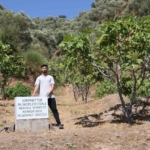Mezar taşı değil, ‘herkes yesin’ uyarısı 1 Mezar taşı değil, ‘herkes yesin’ uyarısı