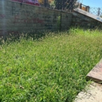 Aydın'da Nevzat Biçer Parkı bakımsızlıktan kullanılmaz hale geldi 1 Nevzat Biçer Parkı bakımsızlıktan kullanılmaz hale geldi