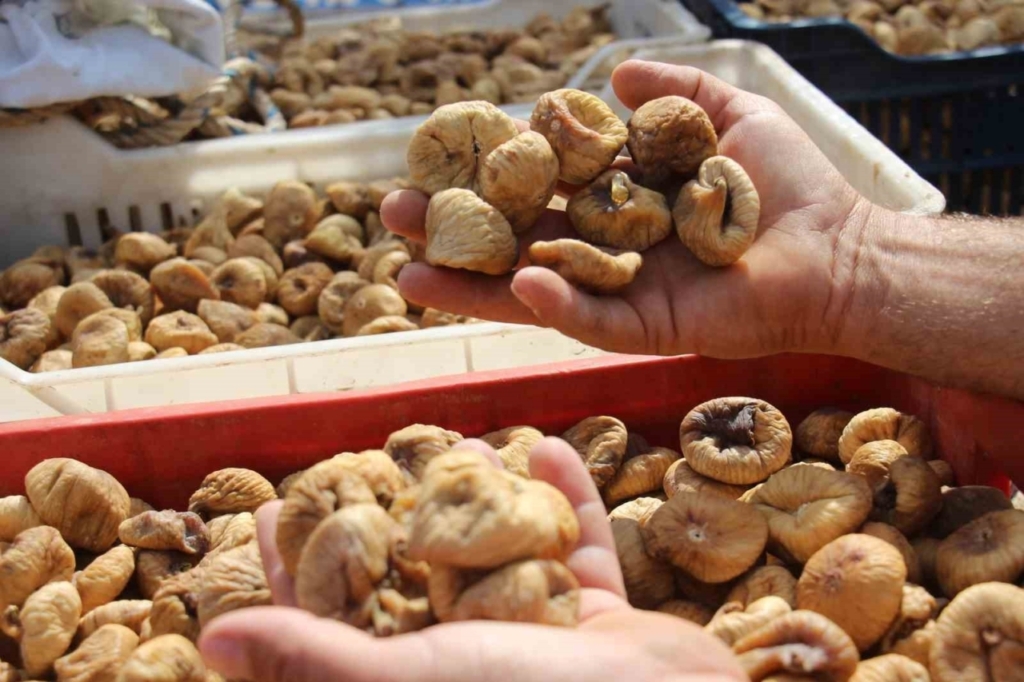 taris alimlari erken kapatti uretici tuccara tepki gosterdi 28e43c81cae3