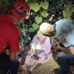 Aydın'da yaşlı kadın mama verdiği köpek sayesinde bulundu 5 Yaşlı kadın mama verdiği köpek sayesinde bulundu
