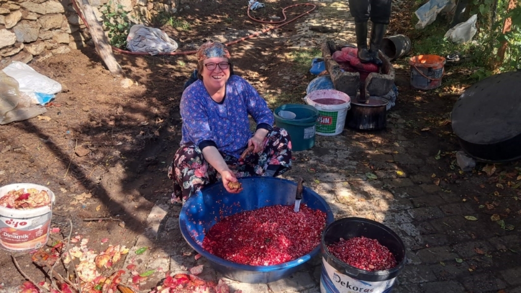 aydinda narlar geleneksel yontemle eksiye donusuyor b314e5d455a1