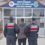 Bozdoğan’da hırsızlık suçundan aranan şahıs yakalandı