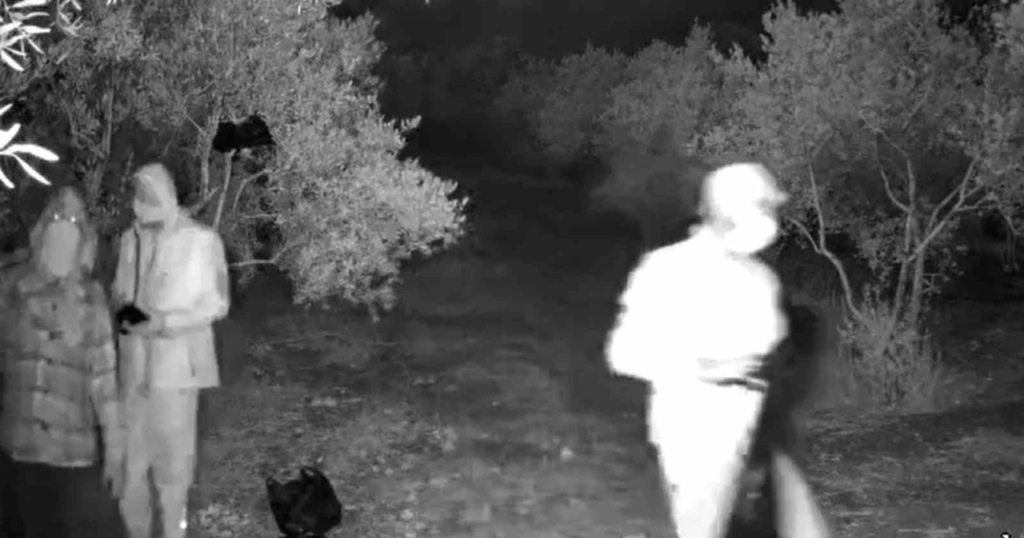 Didim’de kaçak kazı operasyonu: 4 şüpheli suçüstü yakalandı 2 didimde kacak kazi operasyonu 4 supheli sucustu yakalandi bdcc30f8122d