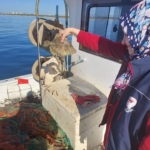didimde su urunleri kontrolu 92d2ce34a78e