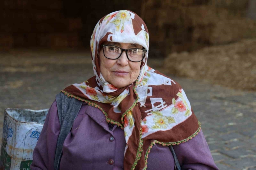 Köşk’te Ceviz Mesaisi: Verim Düşük Ama Kalite Yüz Güldürüyor! 3 hasadi yapilan cevizler satisa hazirlaniyor 706d55604802