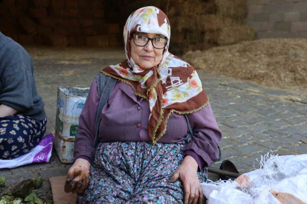 Köşk’te Ceviz Mesaisi: Verim Düşük Ama Kalite Yüz Güldürüyor! 4 hasadi yapilan cevizler satisa hazirlaniyor c766a49da951