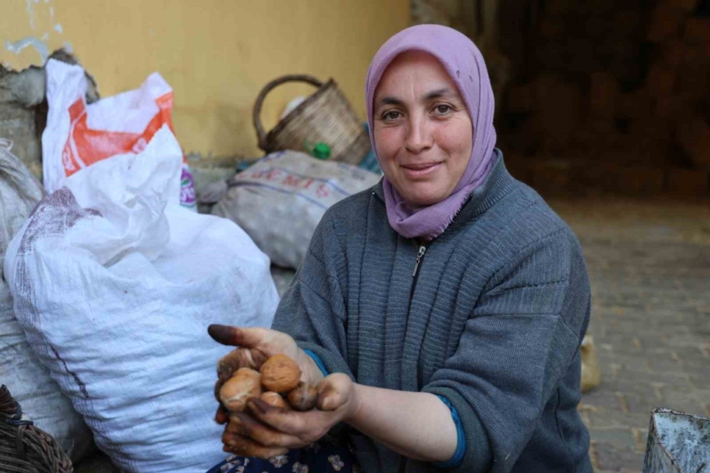 Köşk’te Ceviz Mesaisi: Verim Düşük Ama Kalite Yüz Güldürüyor! 2 hasadi yapilan cevizler satisa hazirlaniyor ecd2be68d976
