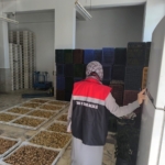 Köşk’te kuru incir depolarına sıkı denetim