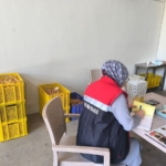 Köşk’te kuru incir depolarına sıkı denetim