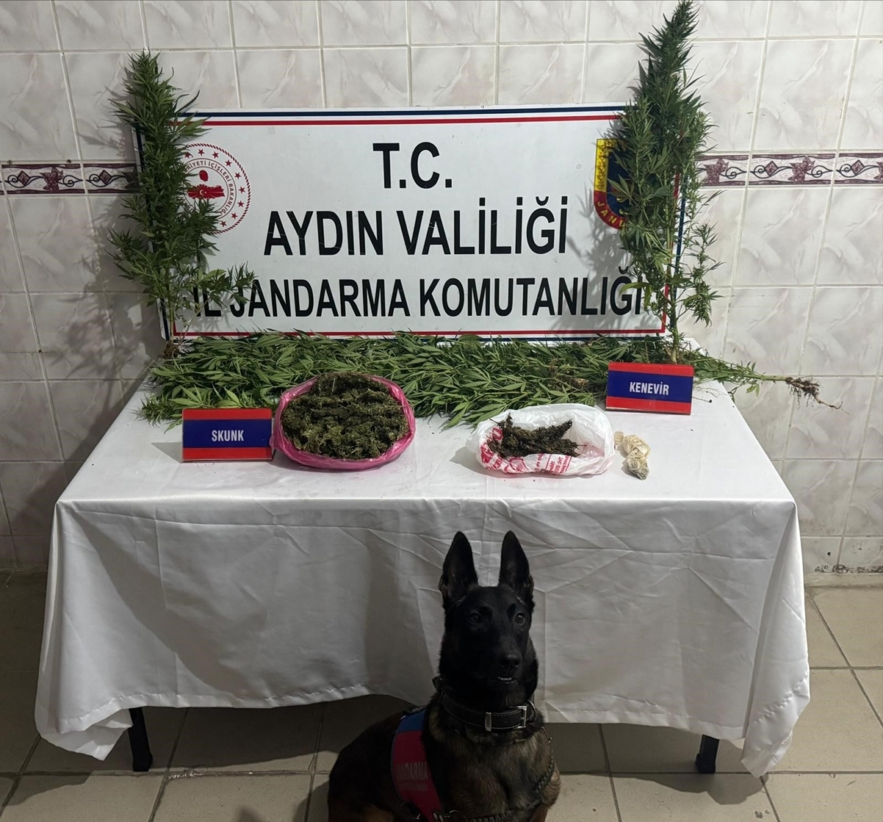 Nazilli’de uyuşturucu satıcısının evinde 498 gram skunk ele geçirildi