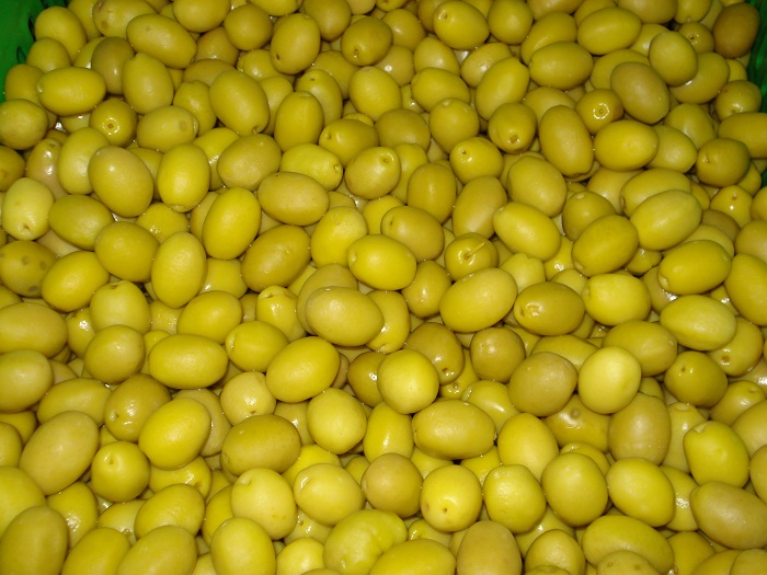 zeytin 2