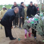 Aydın’da 7 bin fidan toprakla buluştu