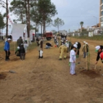 Aydın’da 7 bin fidan toprakla buluştu