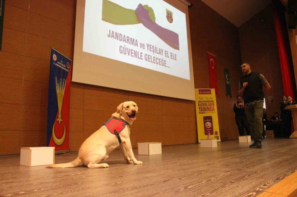 aydinda gencler icin siddetsiz ve bagimsiz gelecek bulusmasi gerceklestirildi e9c204fe1f29