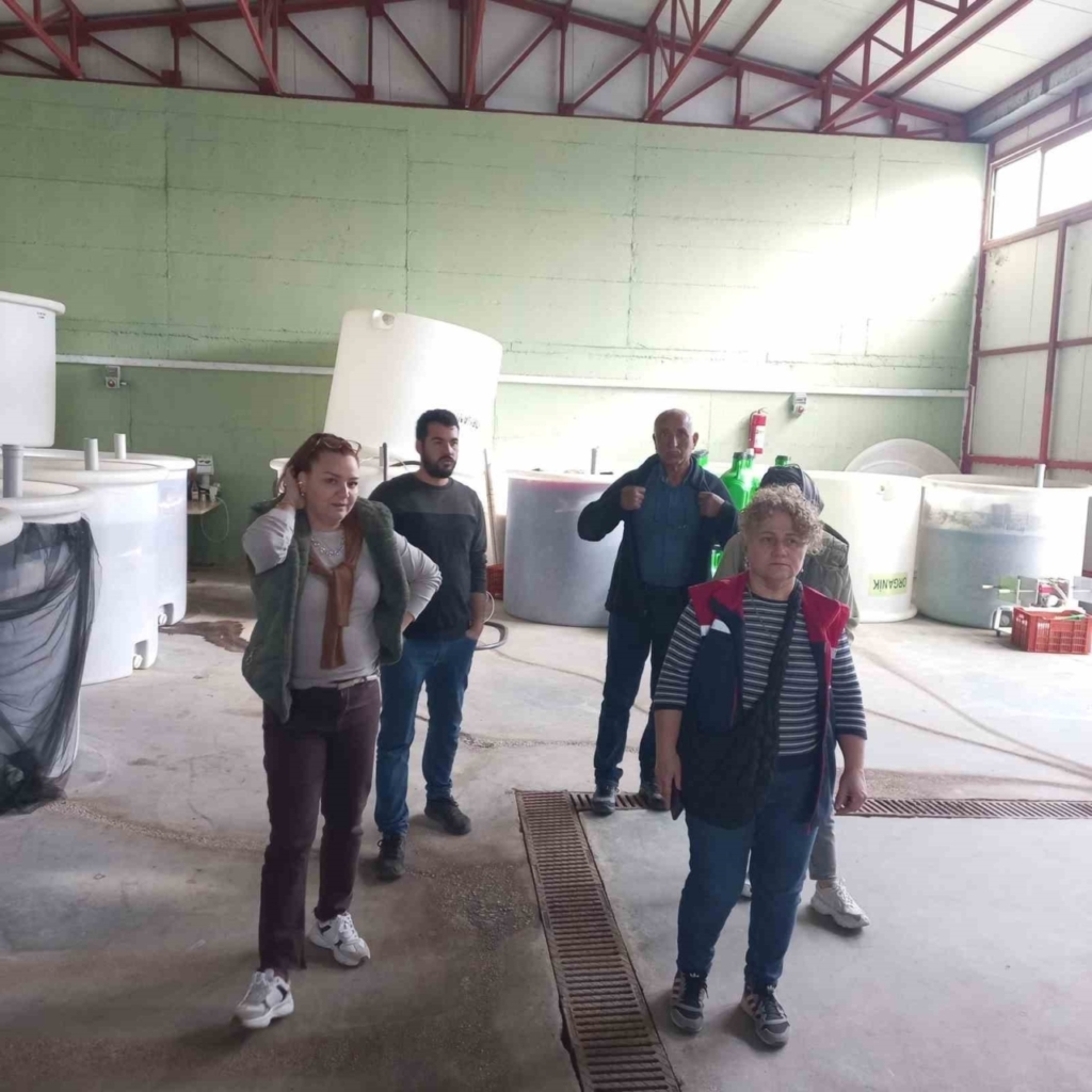 didimde organik zeytin ve zeytinyagi uretim alanlari denetlendi 3e0116479fff
