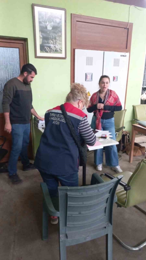 didimde organik zeytin ve zeytinyagi uretim alanlari denetlendi a898c469570d