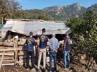 germencikte calinan hayvanlar bulunarak sahibine teslim edildi 89a071e02436