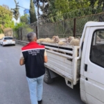 Hayvan hastalıkları ile mücadelede yol kontrolleri devam ediyor