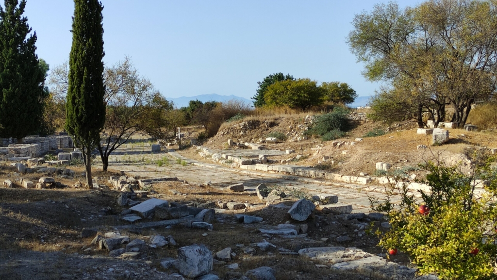 IMG_20231021_160022_mcBpIPW22B-scaled