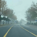 Aydın’da puslu sabah manzaraları mest etti