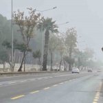 Aydın’da puslu sabah manzaraları mest etti