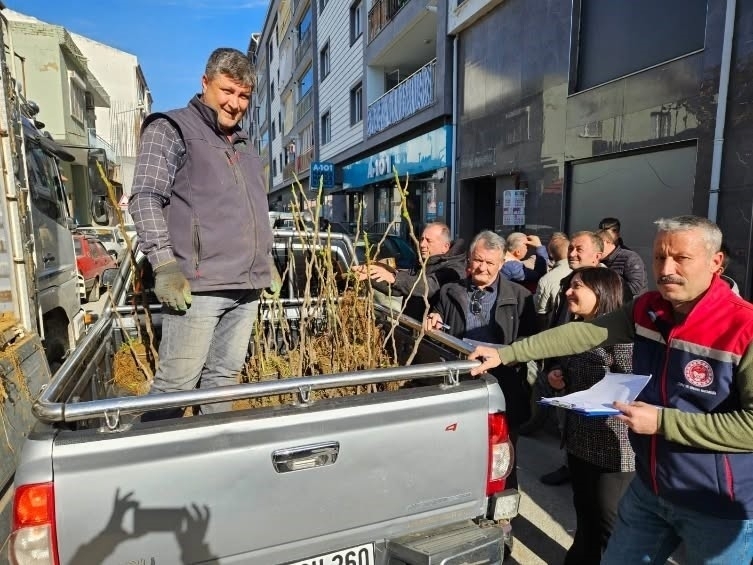 Germencik’te üreticiye 4 bin sertifikalı fidan desteği 1 germencikte ureticiye 4 bin sertifikali fidan destegi a5bf6cecc716