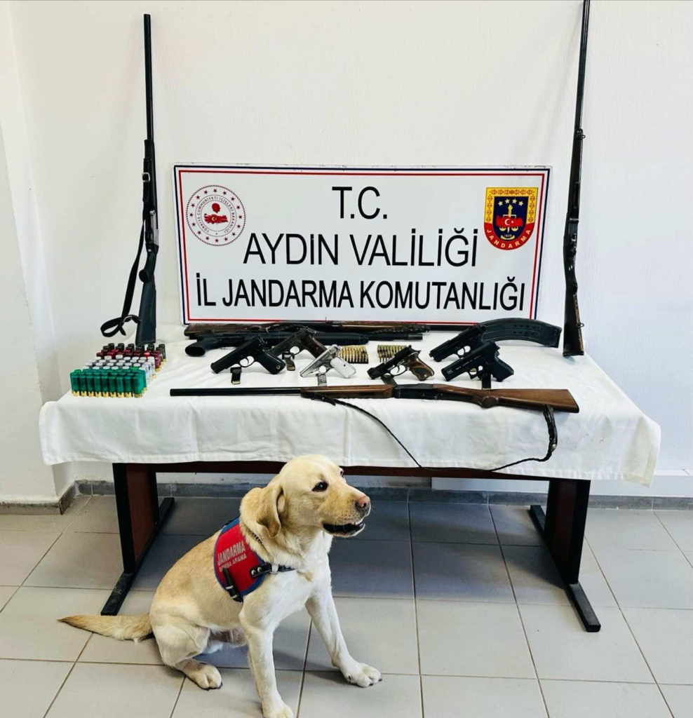 Köşk’te ruhsatsız silah operasyonu: Cephanelik gibi ev… 2 image 53