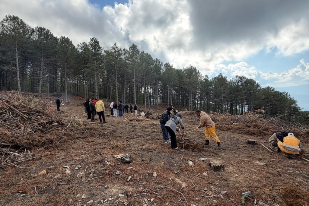 kirsehirden gelen universite ogrencileri cinede fidan dikti 7425f28f0653