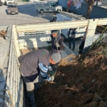 Koçarlı’da üreticiye 4 bin incir fidanı dağıtıldı