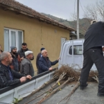 Köşk’te köklü kestane fidanları üreticilere dağıtıldı